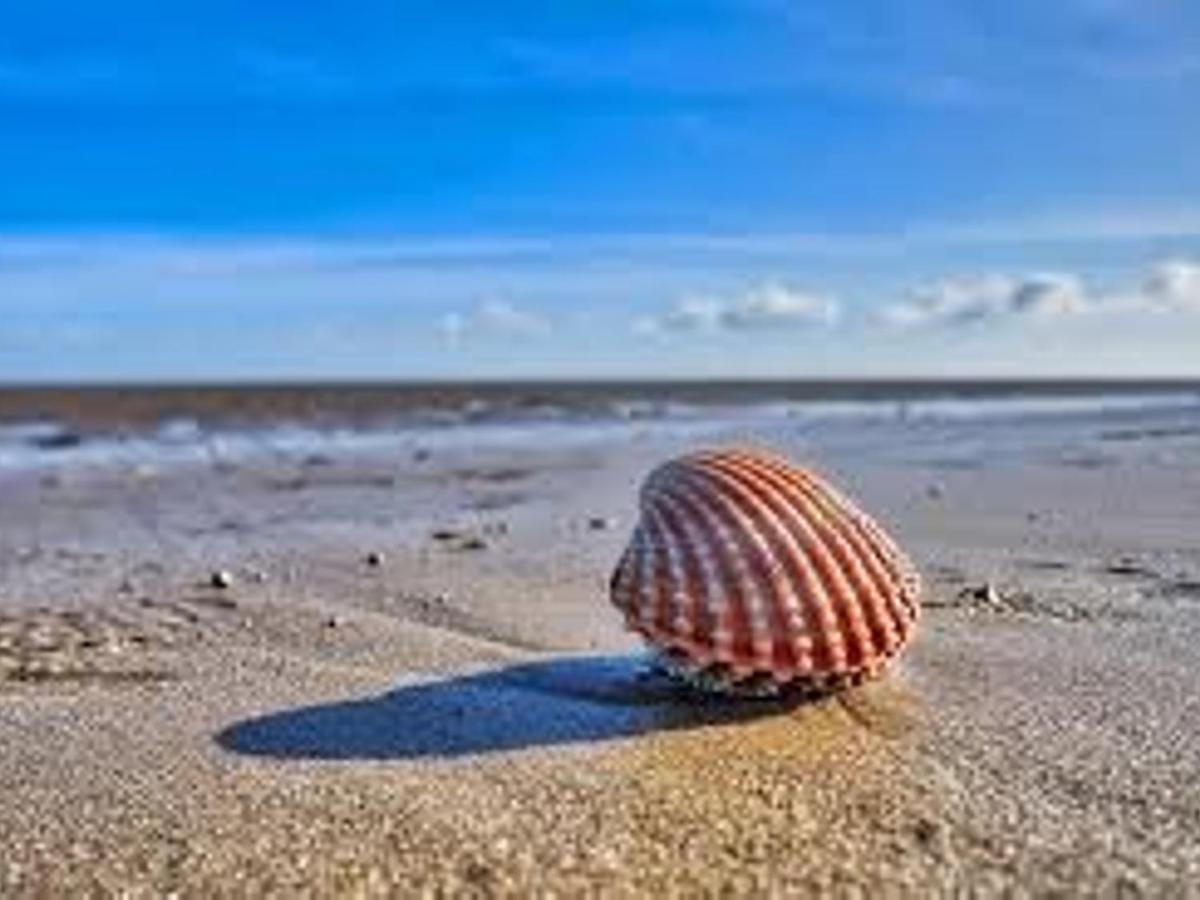 Pass The Keys Fabulous Beach Front Holiday Location Lydd Dış mekan fotoğraf
